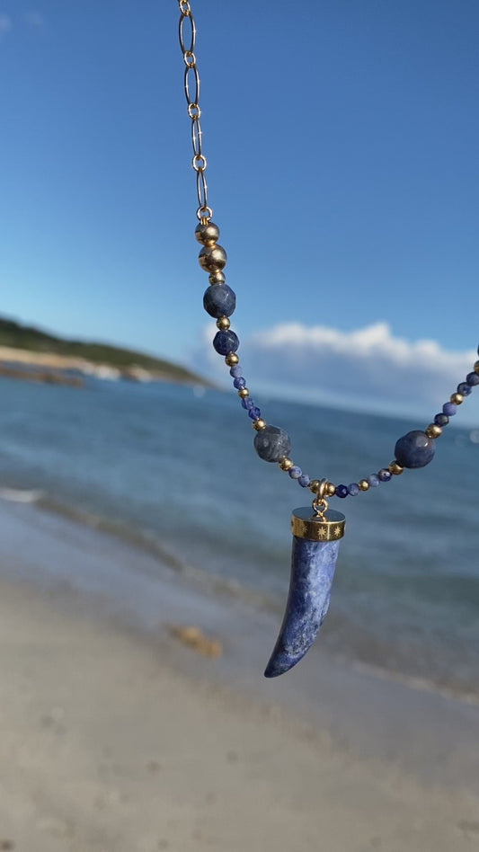 Collier DIFESA Multirang Bleu